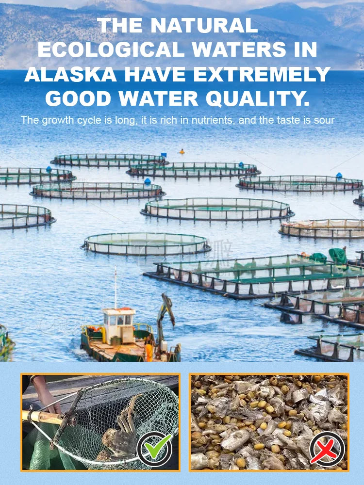 Alaskan Snow Crab Ready-to-EatCrispy Crab-Elon